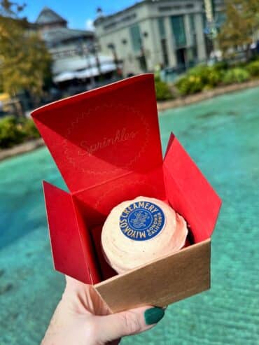 vegan Miyokos Sprinkles Cupcake