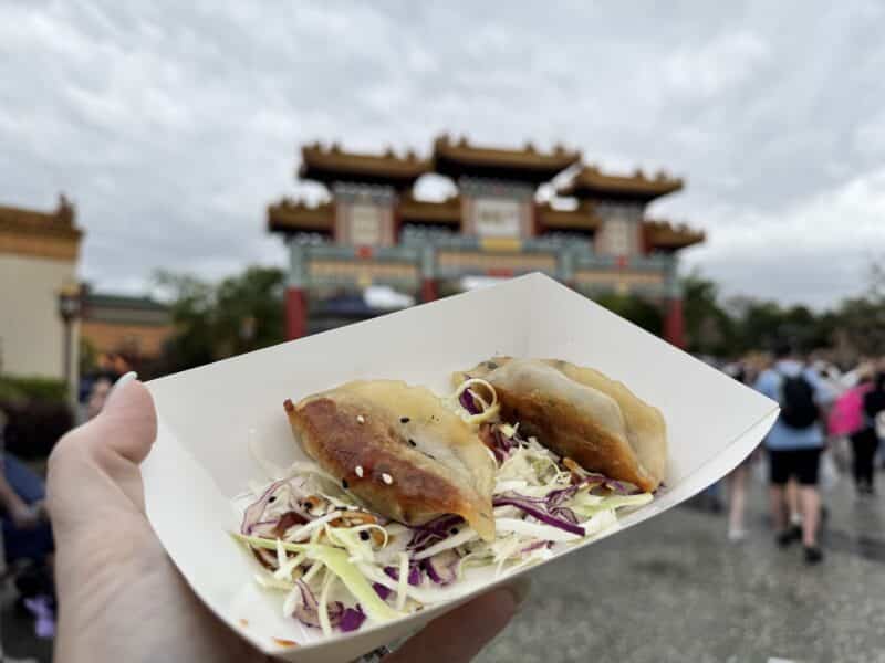 vegetable dumplings EPCOT Flower & Garden