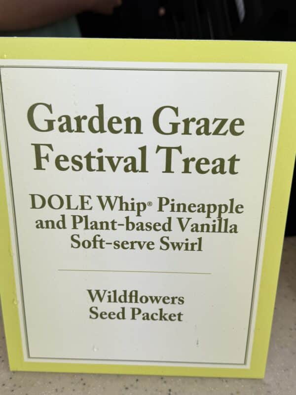 Vegan Soft Serve at EPCOT