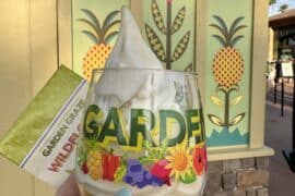 Garden Graze completer Dole Whip 2025