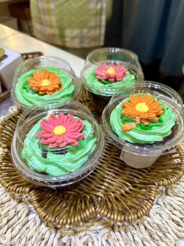 Vegan Bunny Burrow Dirt Cup Disney's Grand Floridian 2025