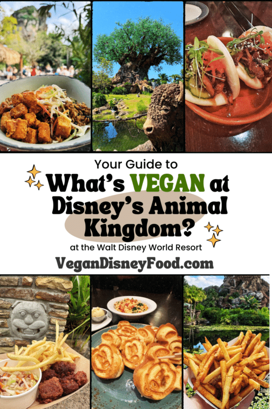 What’s Vegan in Disney’s Animal Kingdom? - The Complete Guide to Every Vegan Food Option in the Animal Kingdom theme park
