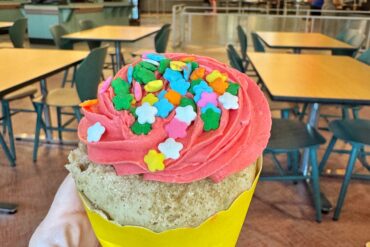 Strawberry Lemonade vegan cupcake Walt Disney World