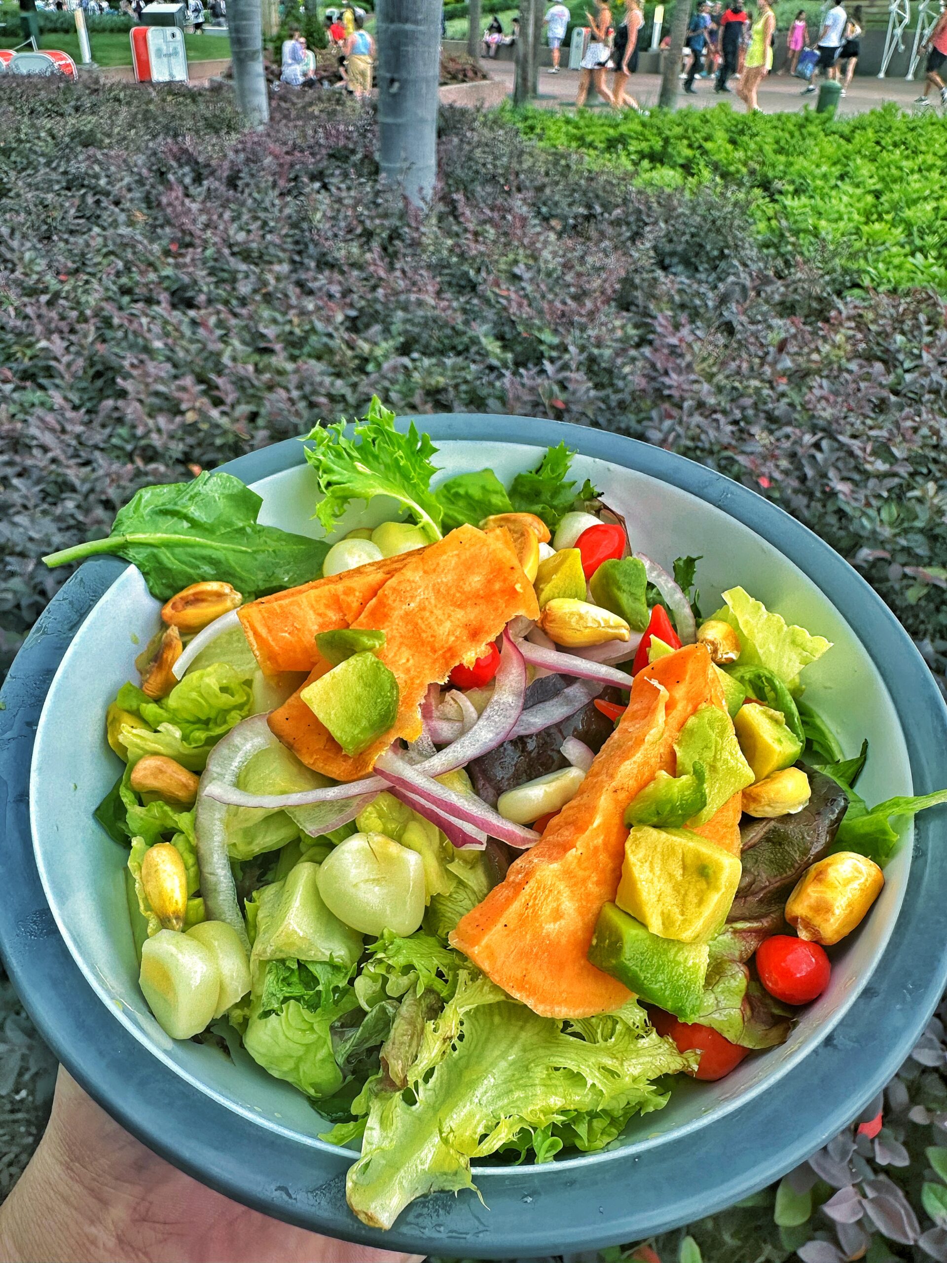 Peruvian vegan salad EPCOT Connections