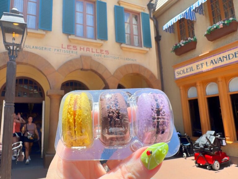 EPCOT France vegan macarons