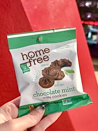 Vegan Guide to Mickey’s Very Merry Christmas Party in the Magic Kingdom at Walt Disney World