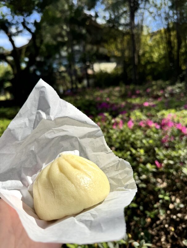 veggie steam bun