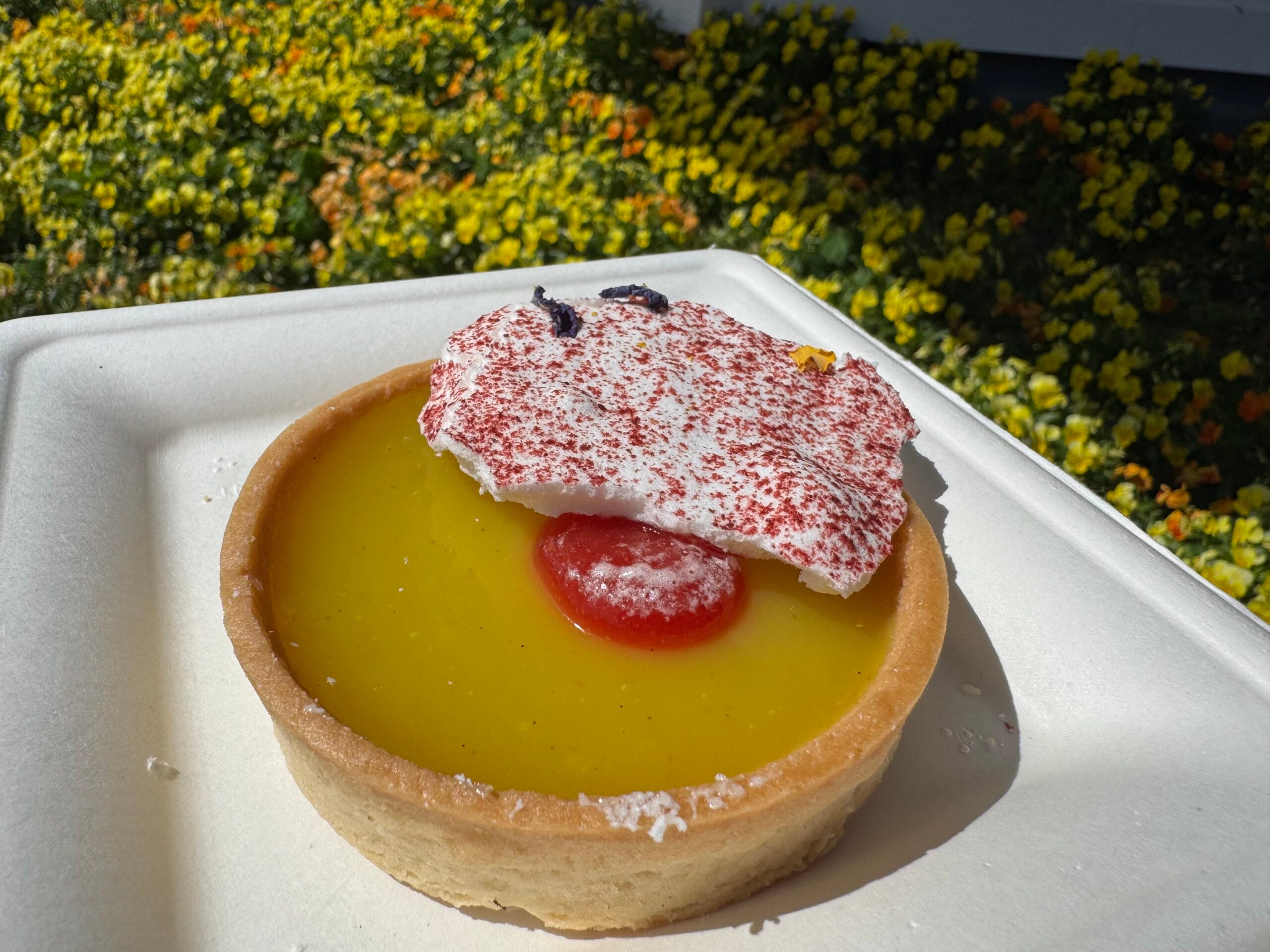 Lemon Tart 2026 EPCOT Flower & Garden