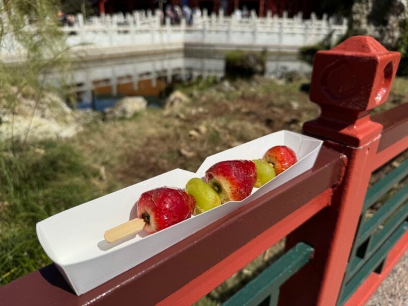 Strawberry and grapes Epcot flower and garden 2026