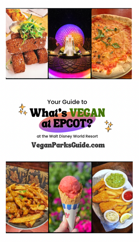 The Complete Guide to Every Vegan Food Option in Disney’s Hollywood Studios at Walt Disney World
