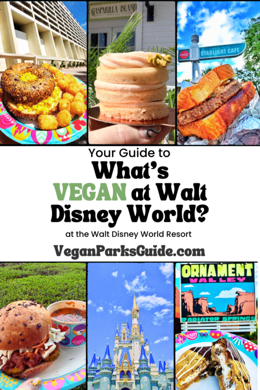 The Complete Guide to Every Vegan Food Option at the Disney Parks and Resorts