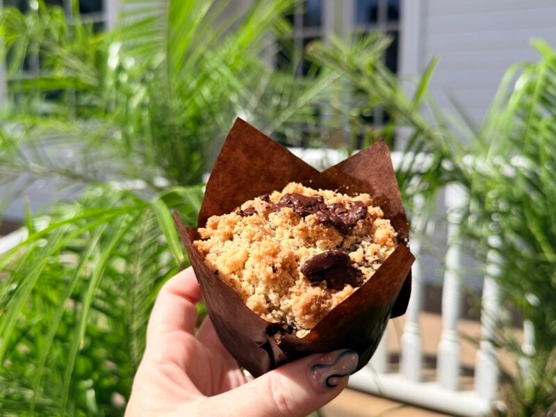 vegan Double Chocolate muffin